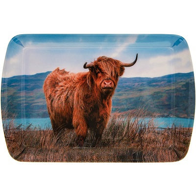 Highland Cow Tray