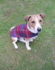 Tartan Dog Coat (Reversible)