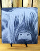 Scottish Highland Cow Slate Plaque & Stand