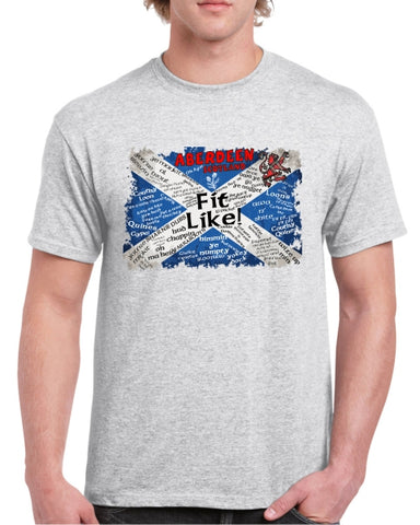 Aberdeen Scotland Saltire Doric T-Shirt