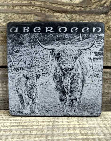Photo Coaster -Highland Cattle (C29)