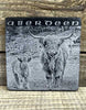 Photo Coaster -Highland Cattle (C29)