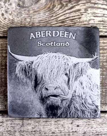 Photo Coaster -Highland Cow (C28)