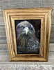 "Eaglet" Framed Print by Margaret Burns Miles
