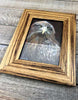 "Eaglet" Framed Print by Margaret Burns Miles