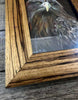 "Eaglet" Framed Print by Margaret Burns Miles