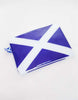 Scotland Saltire Zip Purse
