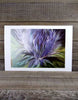 Scottish Thistle Print by Margaret Burns Miles