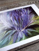 Scottish Thistle Print by Margaret Burns Miles