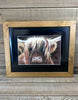 "Wee Heilan Coo" Framed Print by Margaret Burns Miles