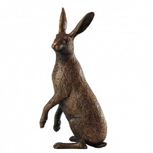 Bronzed Hare