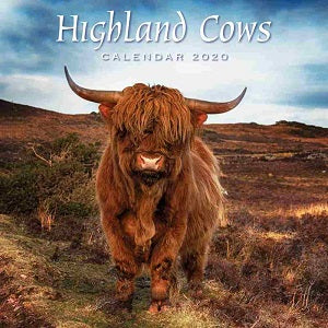 Highland Cows Calendar 2020