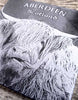 Photo Coaster -Highland Cow (C28)