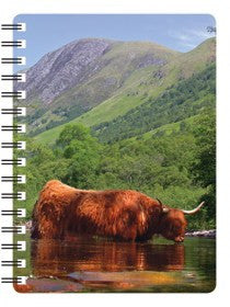 Higland Cow in River 3D Notebook