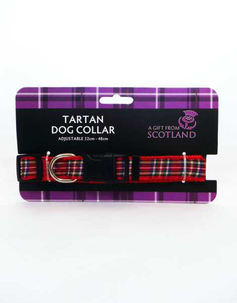 Royal Stewart Tartan Dog Collar