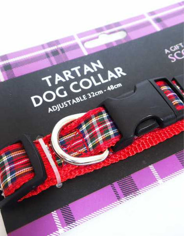 Royal Stewart Tartan Dog Collar