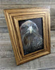 "Eaglet" Framed Print by Margaret Burns Miles