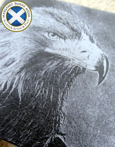 Photo Coaster - Scottish Golden Eagle (C5)