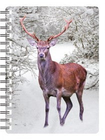 Stag 3D Notebook