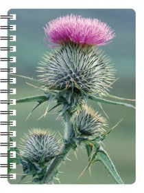 Thistle 3D Notebook