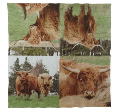 Scottish Highland Cow Napkins
