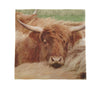 Scottish Highland Cow Napkins