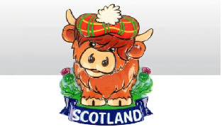 Highland Cow Spring Mounted Magnet