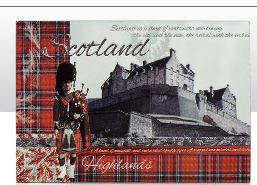 Heraldic Foil Stamped Fridge Magnet