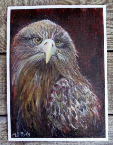 "Eaglet" Print by Margaret Burns Miles