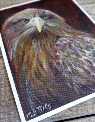 "Eaglet" Print by Margaret Burns Miles