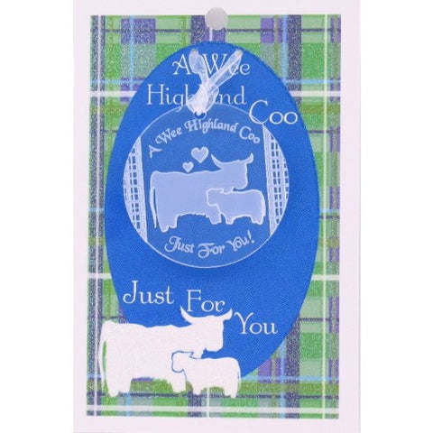 Highland Coo